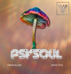 PSYSOUL PSY TRANCE - VINNY VNS