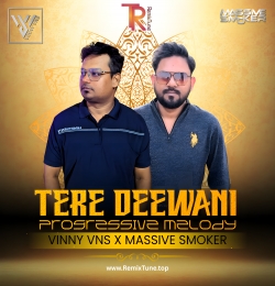 Teri Dewani Progressive Melody - Vinny Vns x Massive Smoker